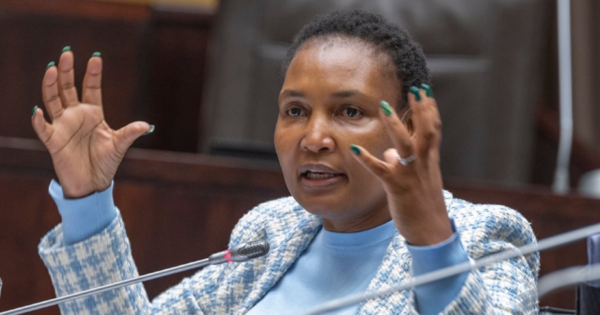 THEMBI SIMELANE | Building a nation one home at a time