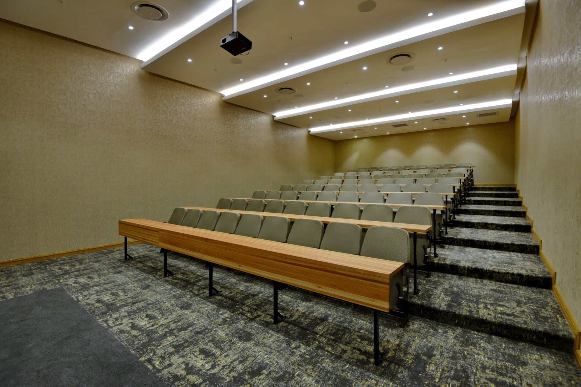 The 80-seater auditorium is equipped with graded seating.