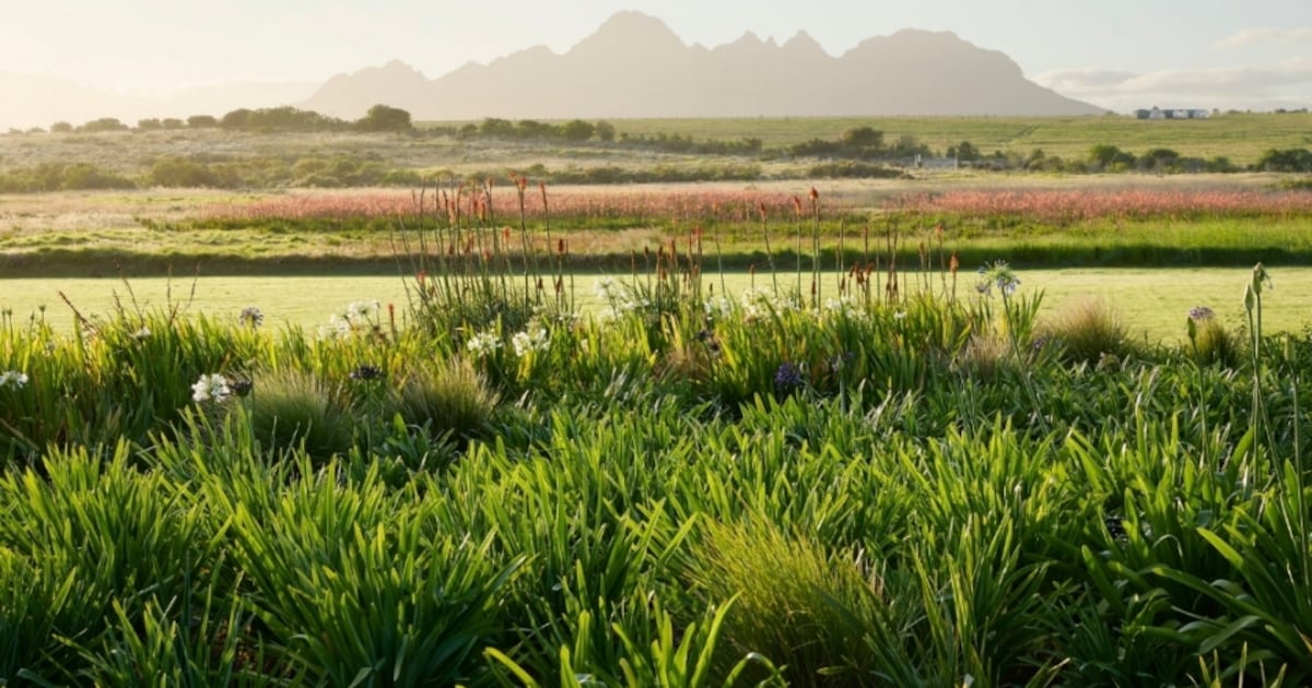 Warum das Weingut Spier der beste Winterurlaubsort in Stellenbosch ist
